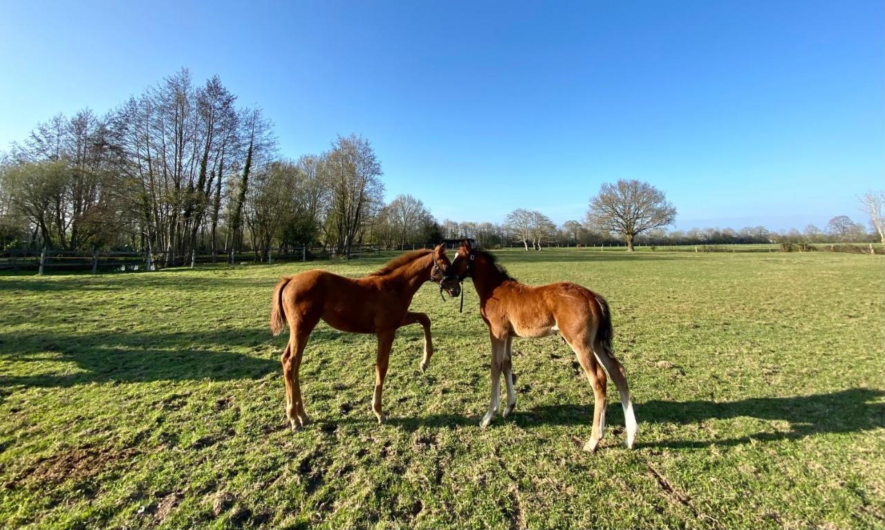 Апартаменты La Longere Du Haras Manerbe Экстерьер фото