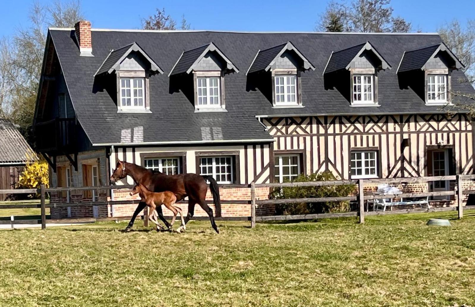 Апартаменты La Longere Du Haras Manerbe Экстерьер фото